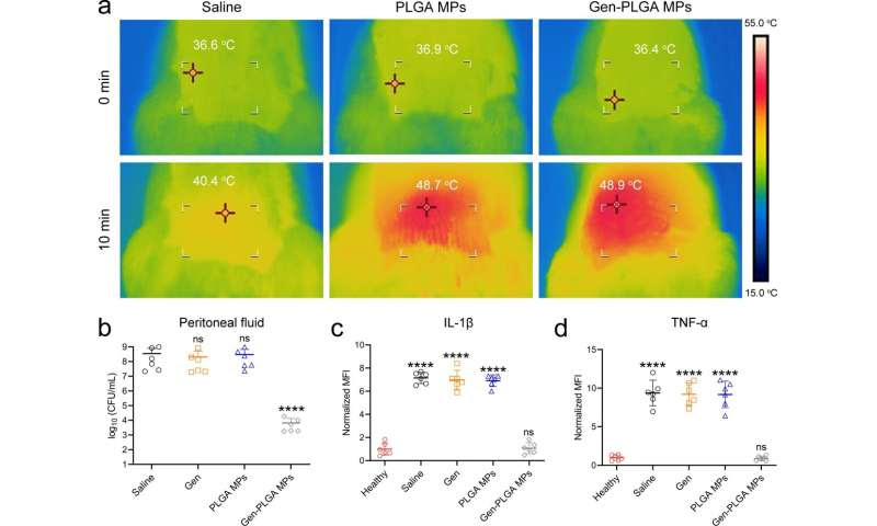 novel in-situ microwave hyperthermia therapy to boost efficacy of conventional antibiotics by overcoming multidrug-resistant Es