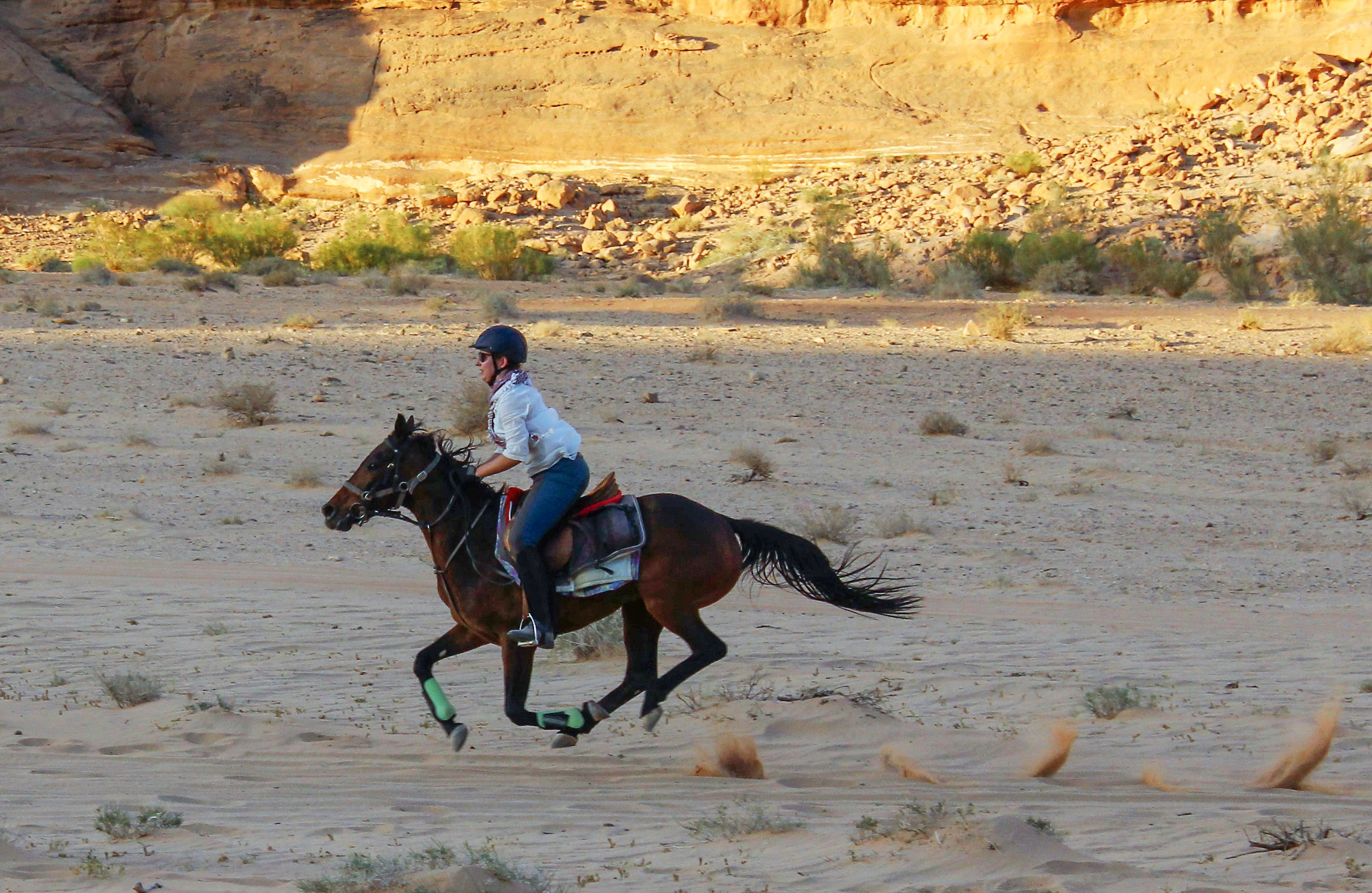 horse riding holiday