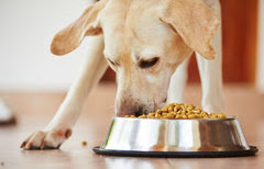 petfood