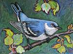 Cerulean Warbler - Posted on Thursday, March 12, 2015 by Ande Hall