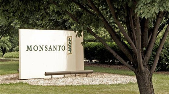 monsanto1