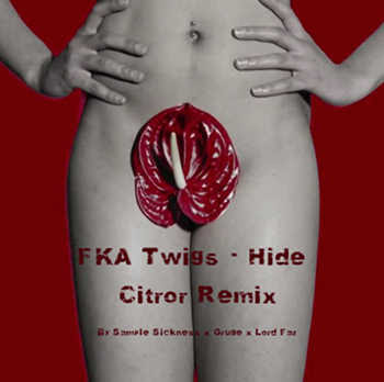 FKA Twigs - Hide (Sample Sickness x Gruge x Lord Faz remix)