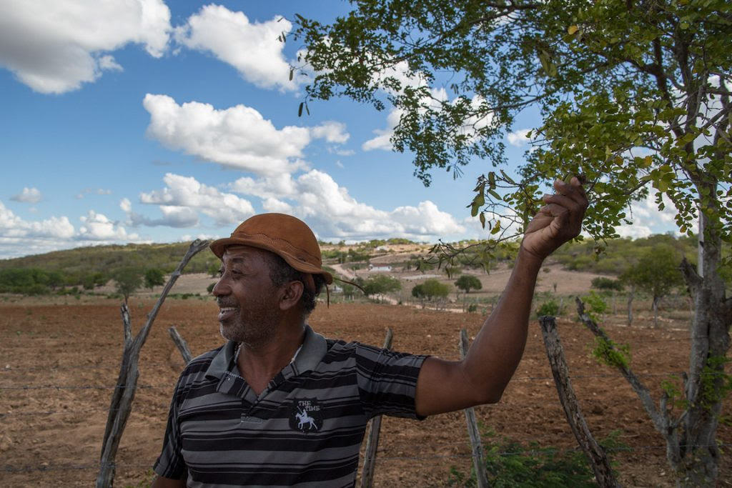 Benedito Domingos que trabalha com espécies nativas da caatinga como fitoterápico. Foto: Flavio Forner