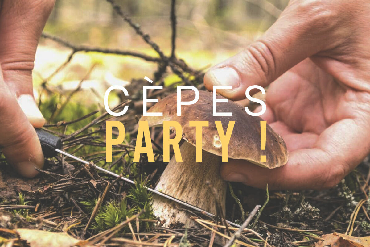 https://chilowe.com/wp-content/uploads/2019/10/cepesparty-cepes-party-nl.jpg