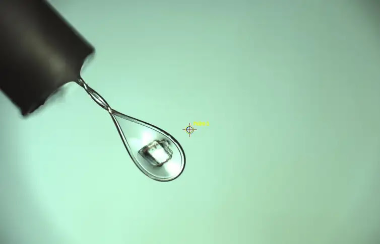 Cristal da proteína do novo coronavírus coletado para ser submetido à análise