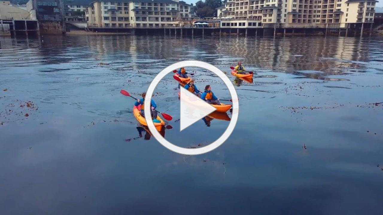 Monterey Bay National Marine Sanctuary Foundation