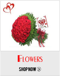  Flower
Hampers & Bouquets 