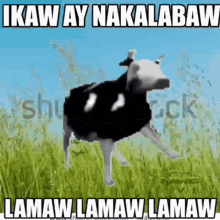 Ikaw Ay Nakalabaw Kalabaw Lamaw GIF - IkawAyNakalabaw KalabawLamaw NMP GIFs