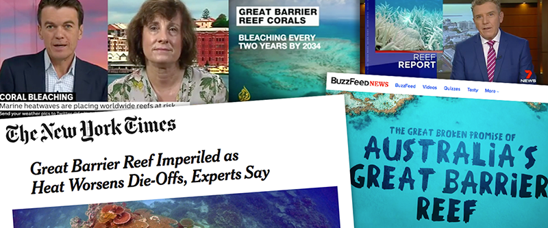 reef-collage-800px.png
