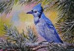 Blue Jay On A Fine Winter Day - Posted on Thursday, December 11, 2014 by Gloria Ester