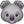 🐨