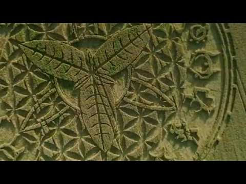 Most Intricate, Stunning Crop Circle Ever?  Hqdefault