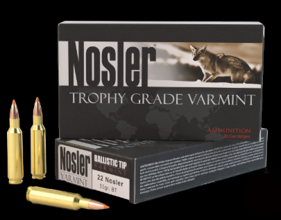 22 Nosler Trophy Grade Varmint