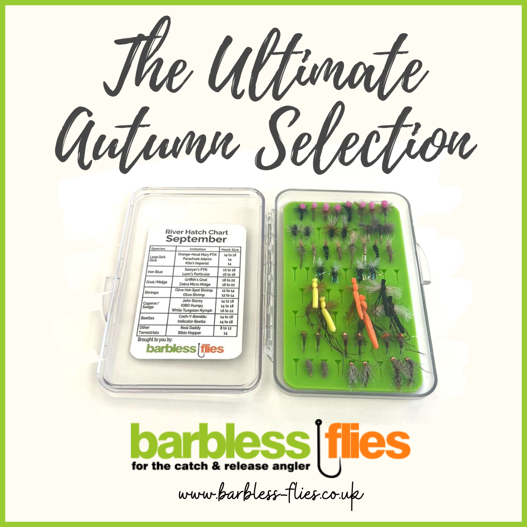 The Ultimate Autumn Selection