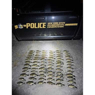 undersized black crappies on display in front of ECO police vehicle