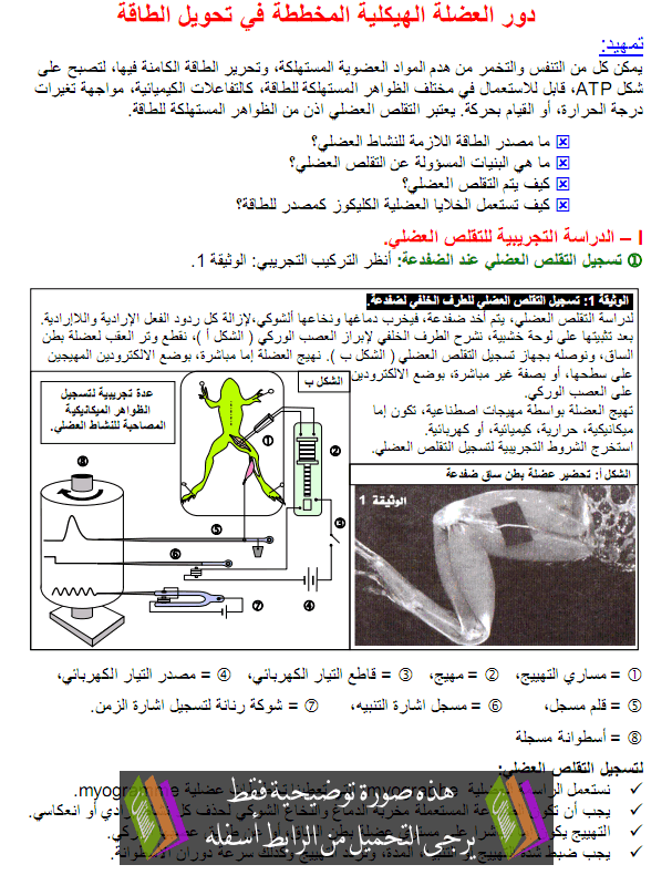 درس القوانين الاحصائية لانتقال الصفات الوراثية عند ثنائيات الصيغة الصبغية – علوم الحياة والأرض – الثانية باكالوريا علوم زراعية Dawr-aladala-alhaikalia