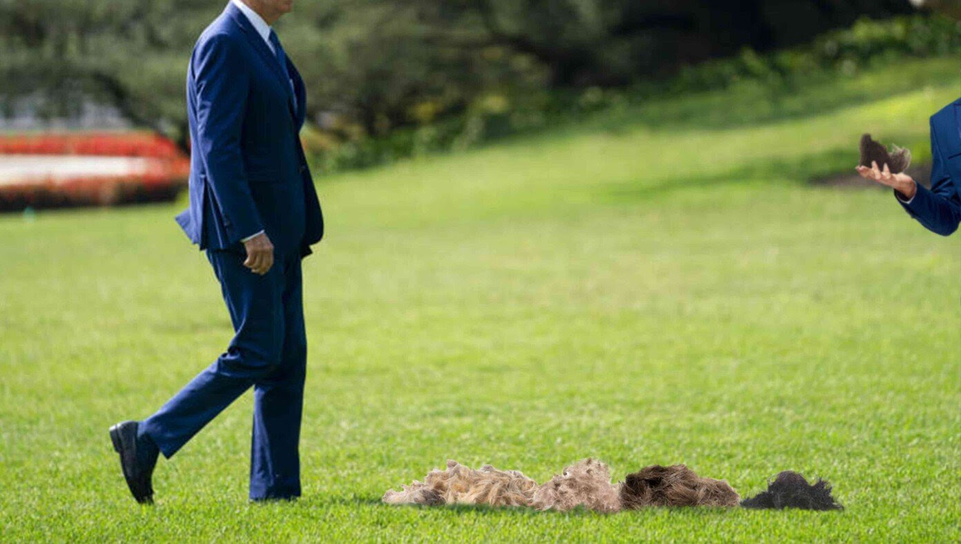 Aides Sprinkle Hair Along Path So Biden Will Go The Right Direction