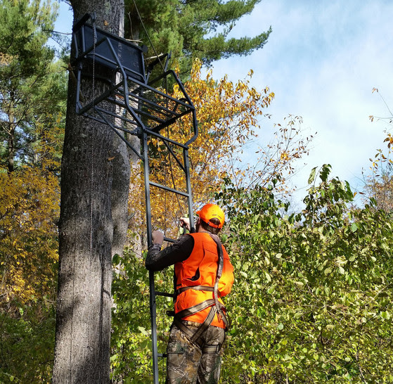 A hunter wearing a safety harness and blaze orange climbs up to a treestand.