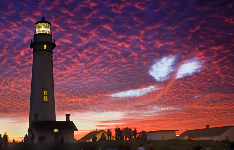 sky-whale-pigeon-point