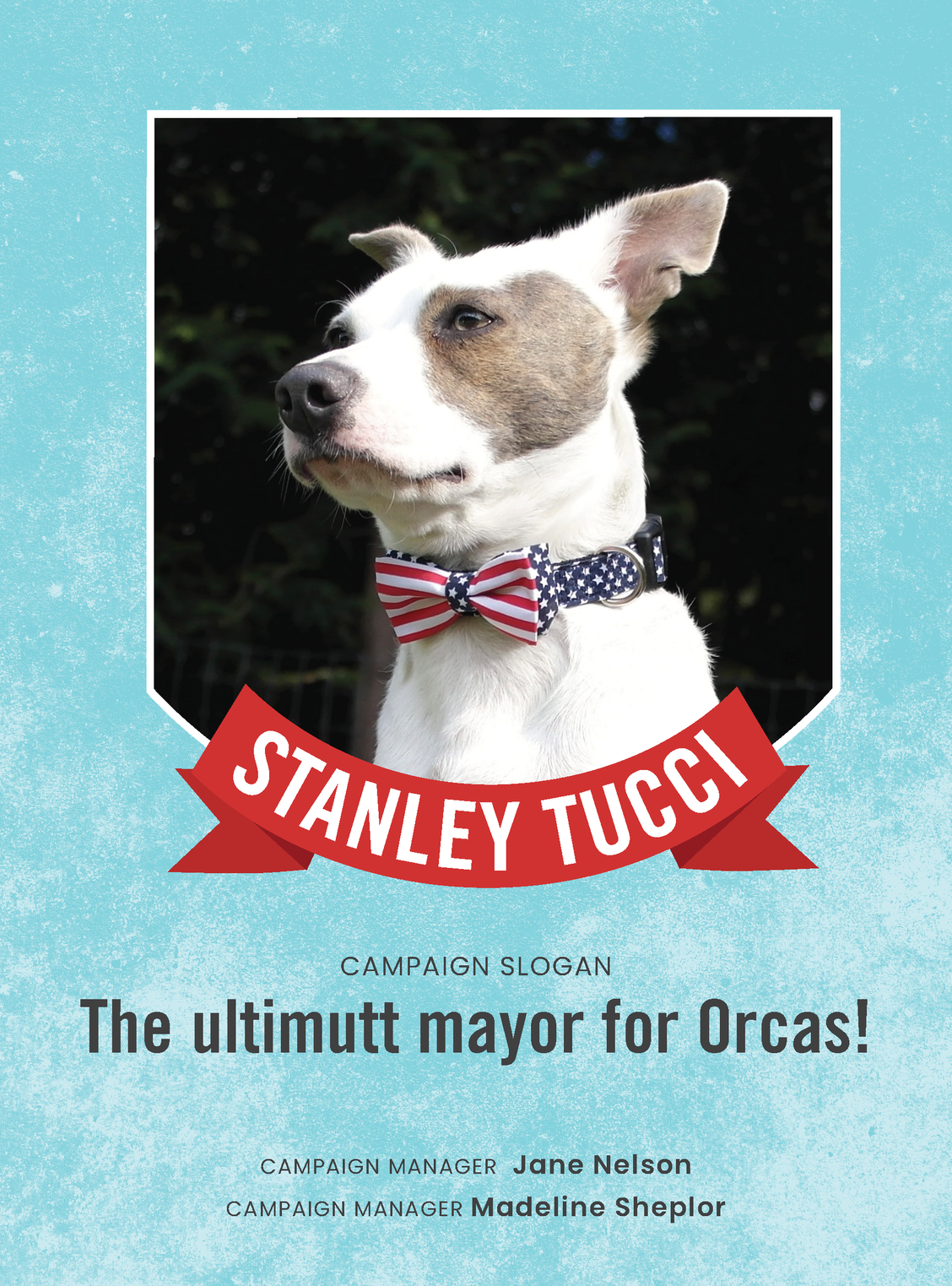 Vote for Stanley Tucci!
