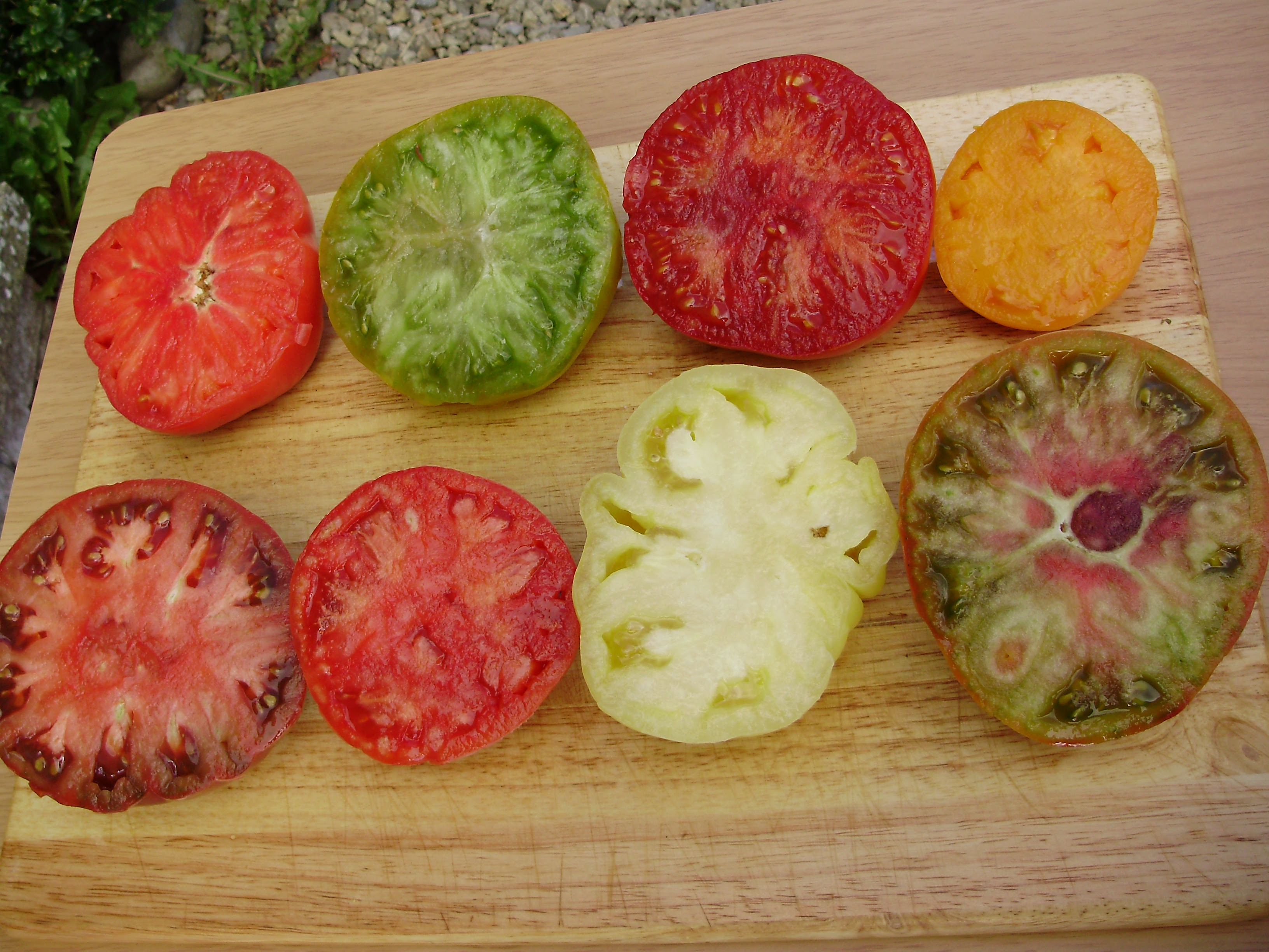 Beefsteak tomatoes halved - Giant Belgium, Green Cherokee, John Baer, Persimmon, Ananas, White Queen, Neve's Azorean, Black Sea