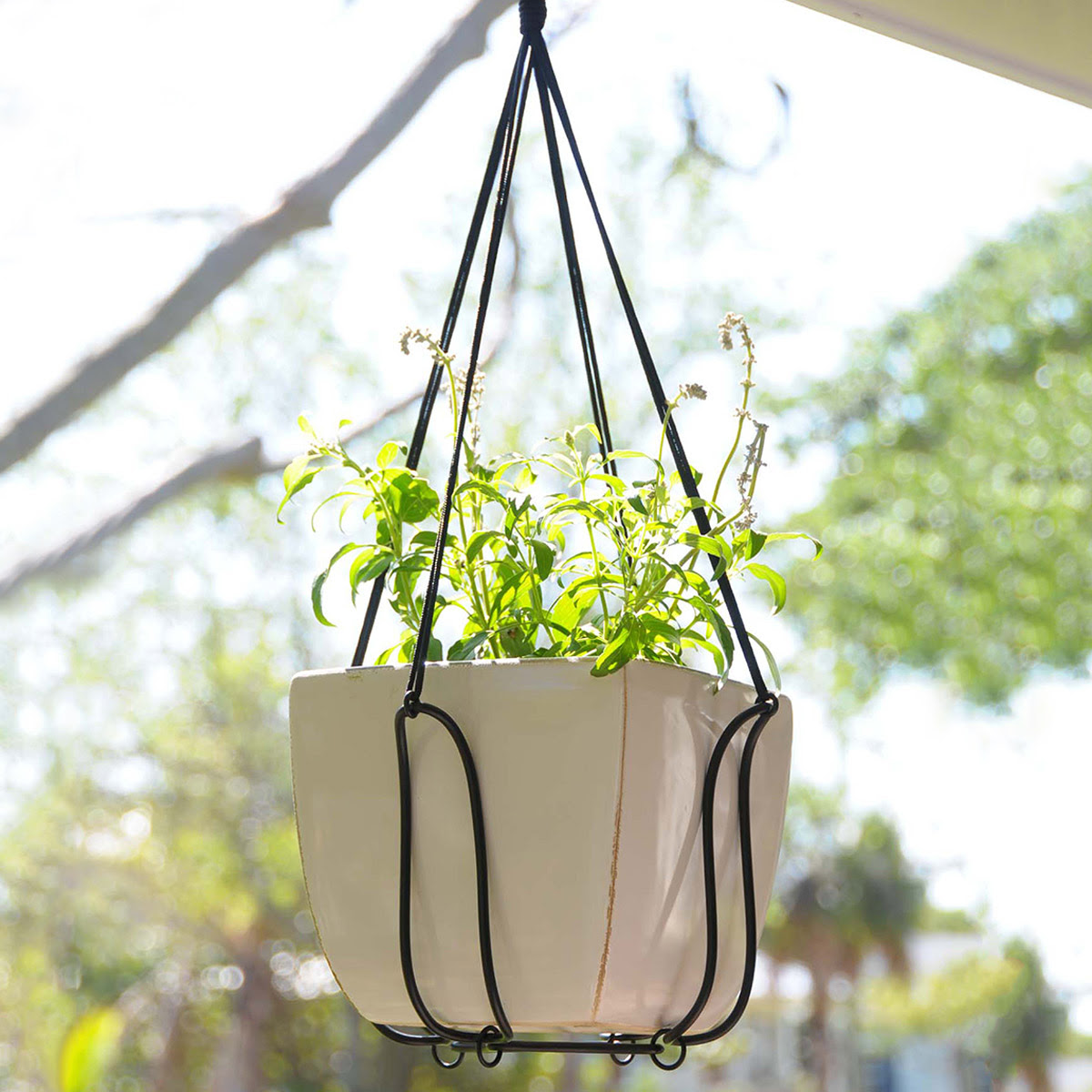 Adjustable Plant Hanger Turns Almost Any Pot Into a Hanging Planter