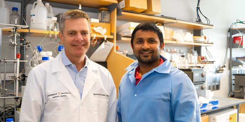 Researchers discover antibody that neutralizes both RSV and hMPV