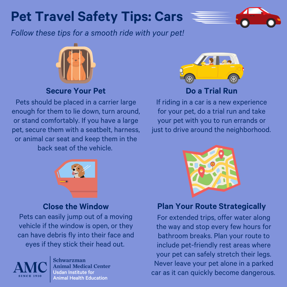 Pet Travel Safety Tips: Cars. Follow these tips for a smooth ride with your pet! Secure Your Pet. Pets should be placed in a carrier large enough for them to lie down, turn around, or stand comfortably. If you have a large pet, secure them with a seatbelt, harness, or animal car seat and keep them in the back seat of the vehicle. Do a Trial Run. If riding in a car is a new experience for your pet, do a trial run and take your pet with you to run errands or just to drive around the neighborhood. Close the Window. Pets can easily jump out of a moving vehicle if the window is open, or they can have debris fly into their face and eyes if they stick their head out. Plan Your Route Strategically. For extended trips, offer water along the way and stop every few hours for bathroom breaks. Plan your route to include pet-friendly rest areas where your pet can safely stretch their legs. Never leave your pet alone in a parked car as it can quickly become dangerous. 