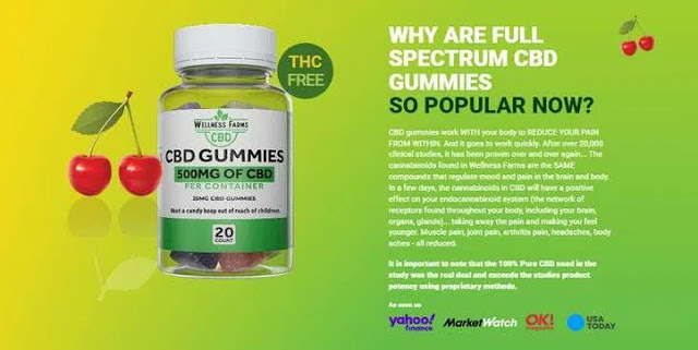 Wellness Farms CBD Gummies USA – Ask Master