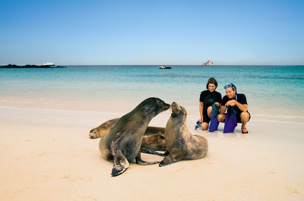 seal watching by guests of the Celebrity Galapagos cruise ship