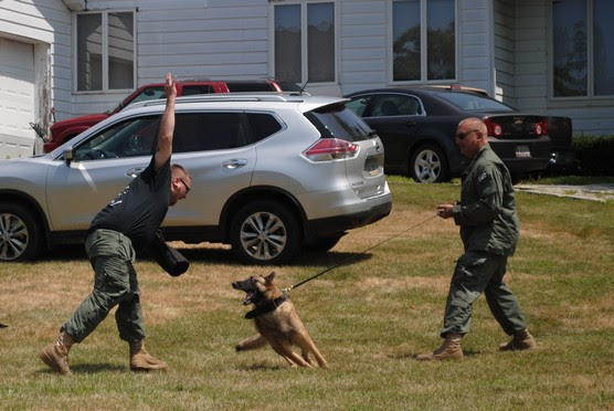 K9 Demo 2