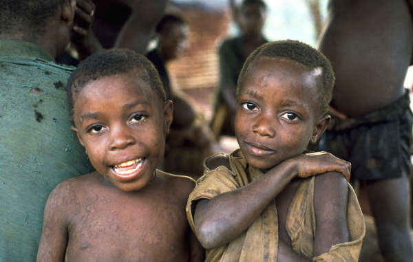 Baka and other hunter-gatherer peoples have lived sustainably in the African rainforest for generations