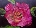 Pink Peony - Posted on Friday, November 21, 2014 by Jenny Lee  Jonah