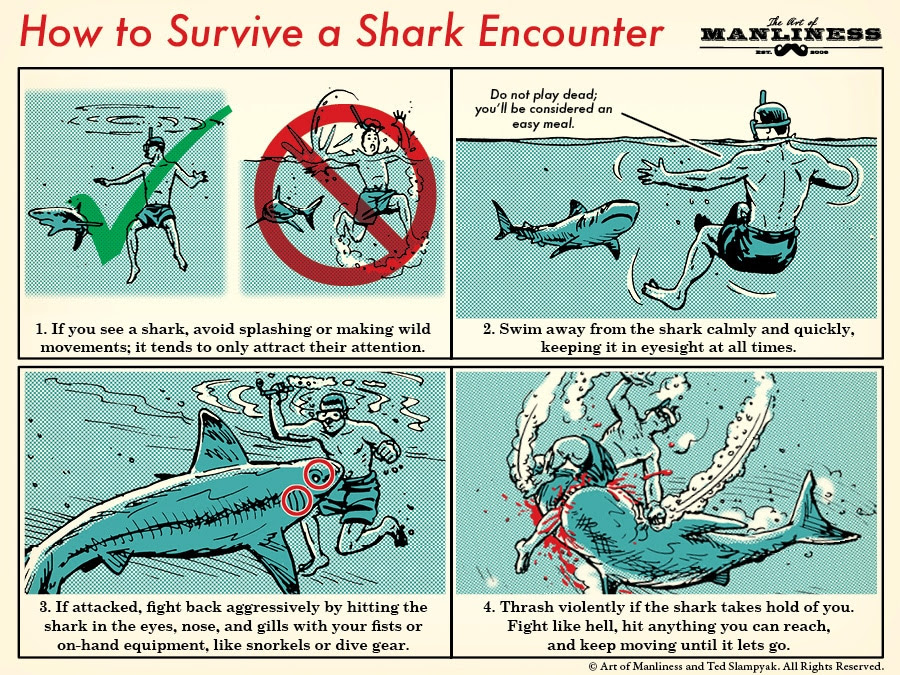 how to survive a shark attack step-by-step illustration diagram