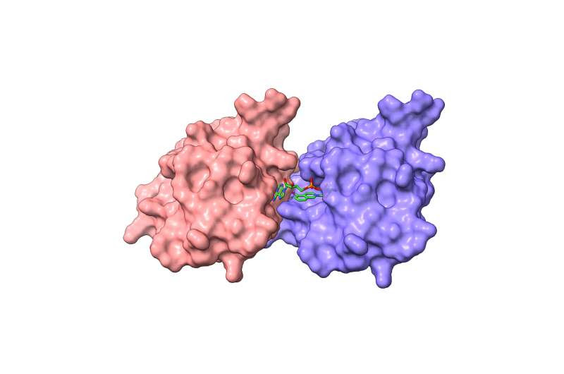 Molecular key may unlock new treatments for neurodegenerative disorders