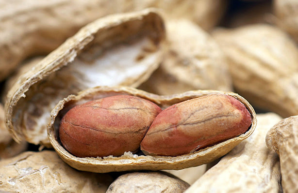 An open peanut shell.