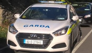 Ireland: Muslim migrant stabs three, killing one, attacks cops with iron bar, cops search for motive