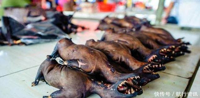 Ốc sên, dơi, mọt 3 đặc sản khủng kinh dị khiến người ăn hú hồn photo 12 1550646953881773341518 Ốc sên, dơi, mọt 3 đặc sản khủng kinh dị khiến người ăn hú hồn