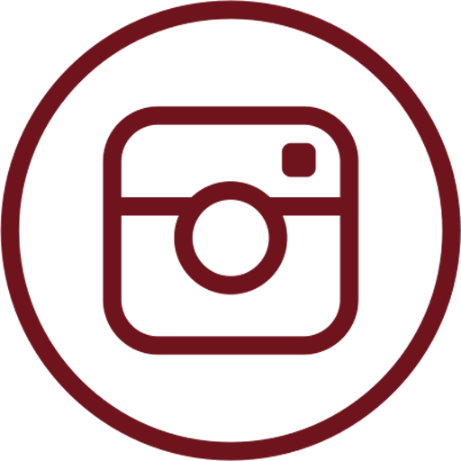 Instagram Link Instagram Link
