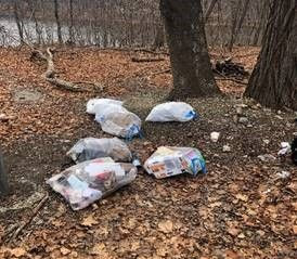 clear bags of trash in the woods