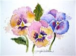 Pansy Faces - Posted on Friday, February 6, 2015 by carolyn watson