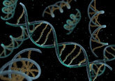 DNA