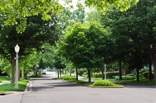 street view of a neighborhood boulevard, plenty of green trees
