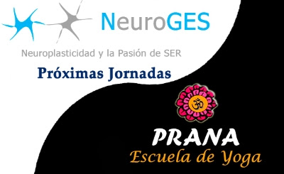 Presentación e introducción al Curso de NeuroGES en Prana Yoga
