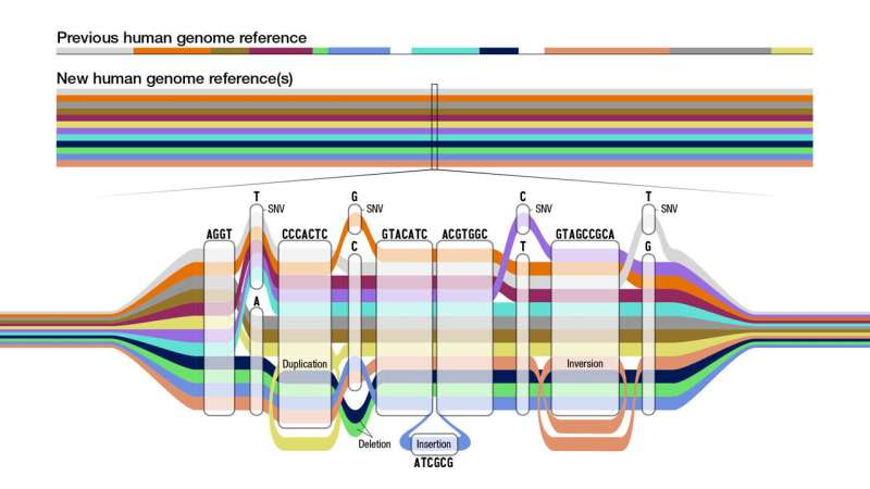 Scientists release a new human “pangenome” reference