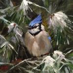 Blue Jay - white Christmas - Posted on Monday, December 22, 2014 by Krista Eaton