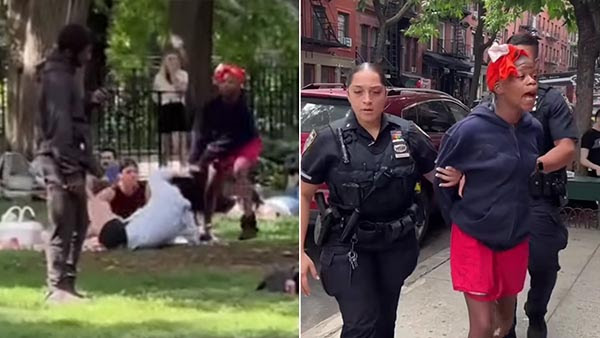 Video: New York Woman Attacks Strangers, Lunges at Mom & Baby in Wild Rampage