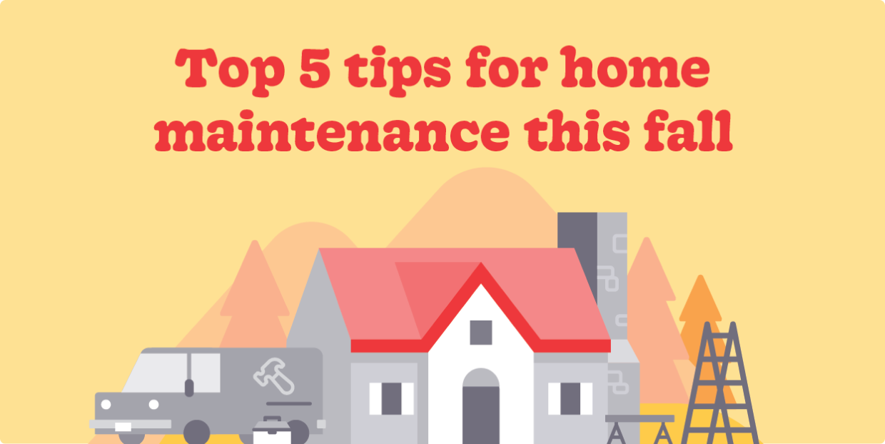 top 5 tips
