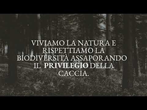 B&P Privilege Game: fai la tua scelta naturale!