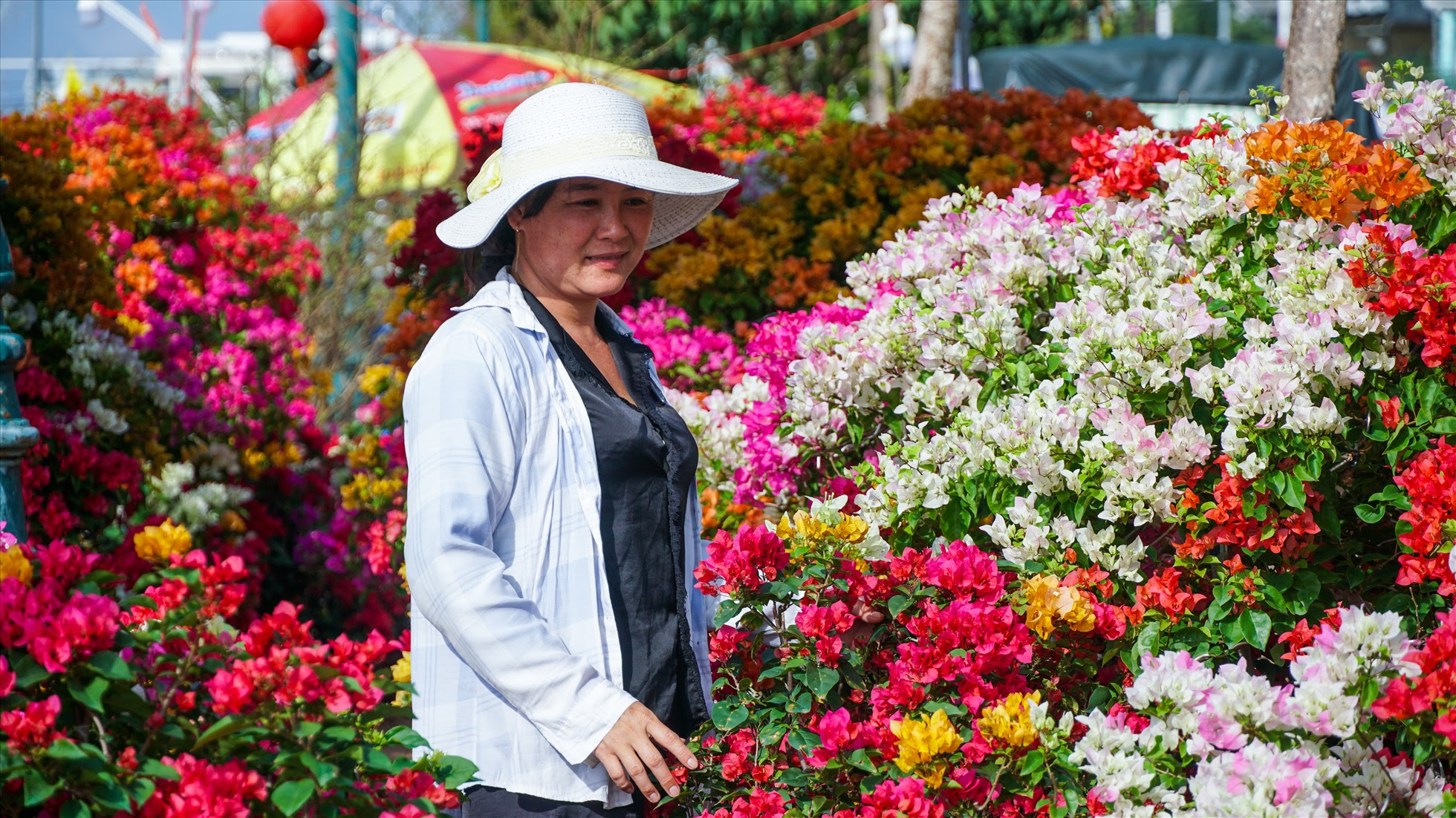Là tiểu thương bán hoa giấy, chị Phan Thị Mỹ Lan (38 tuổi, tỉnh Bến Tre) cho hay, năm trước còn ảnh hưởng của dịch bệnh nhưng vẫn bán được. Năm nay vắng khách từ ở vườn, mong những ngày cuối năm bán được để được về sớm.